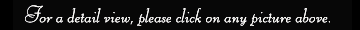 fine, custom guitars, satisfaction guaranteed